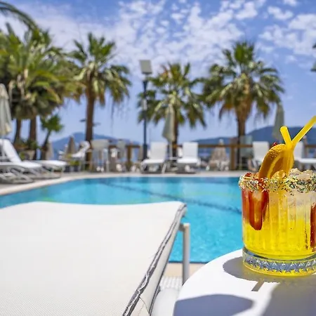 Cettia (adults Only) 4*